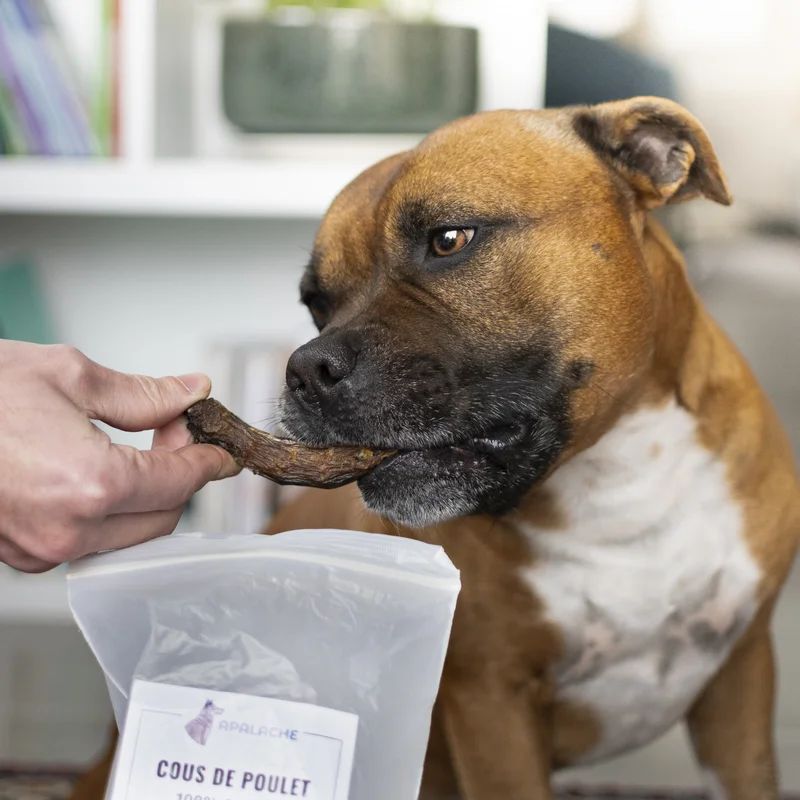 Cous de poulet, Mastication naturelle pour chien, miniature 3