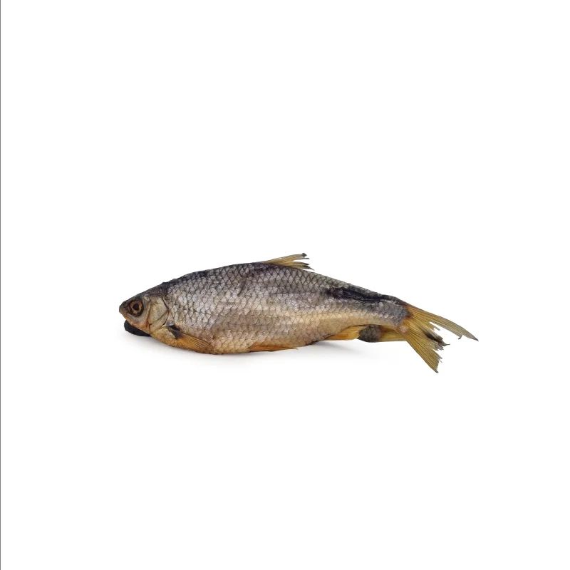 Gardon, miniature 1