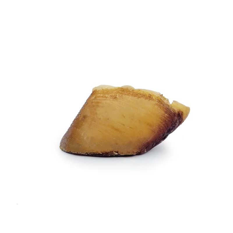 Sabot de boeuf, miniature 1