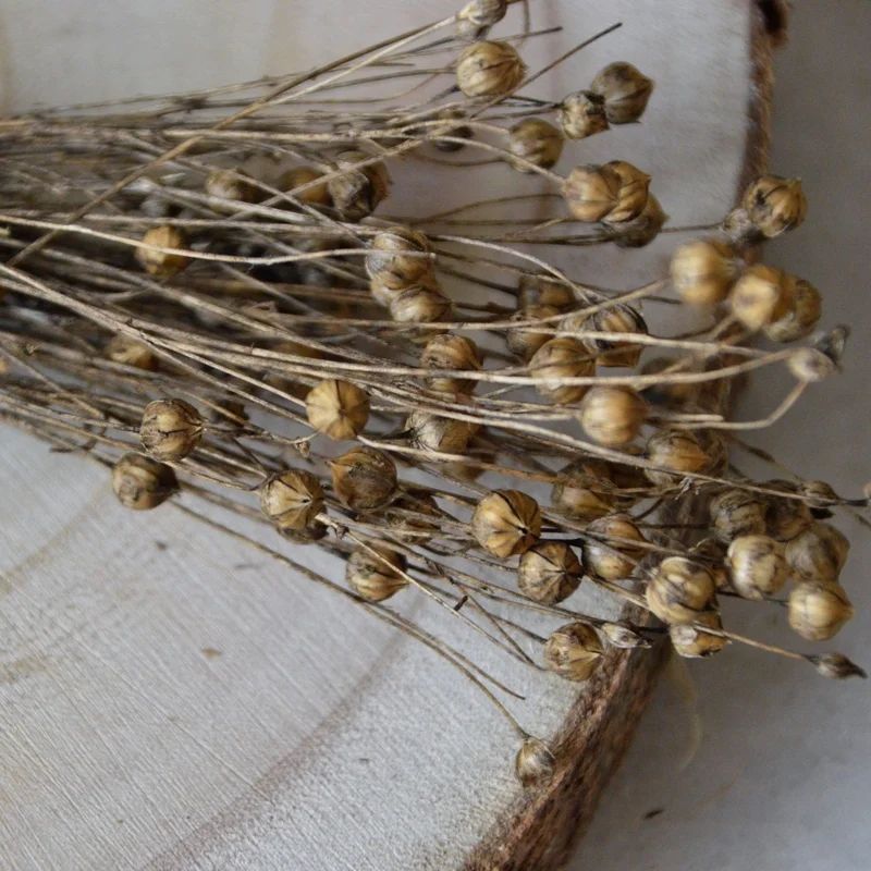 Épis de lin 100G, miniature 1