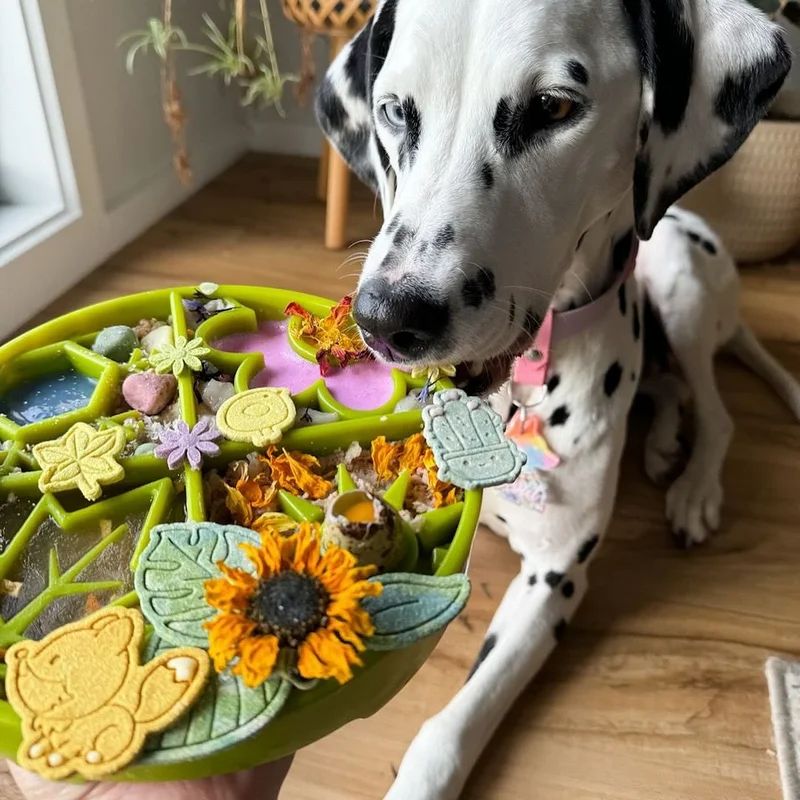 eBowl 4 Saisons, miniature 2