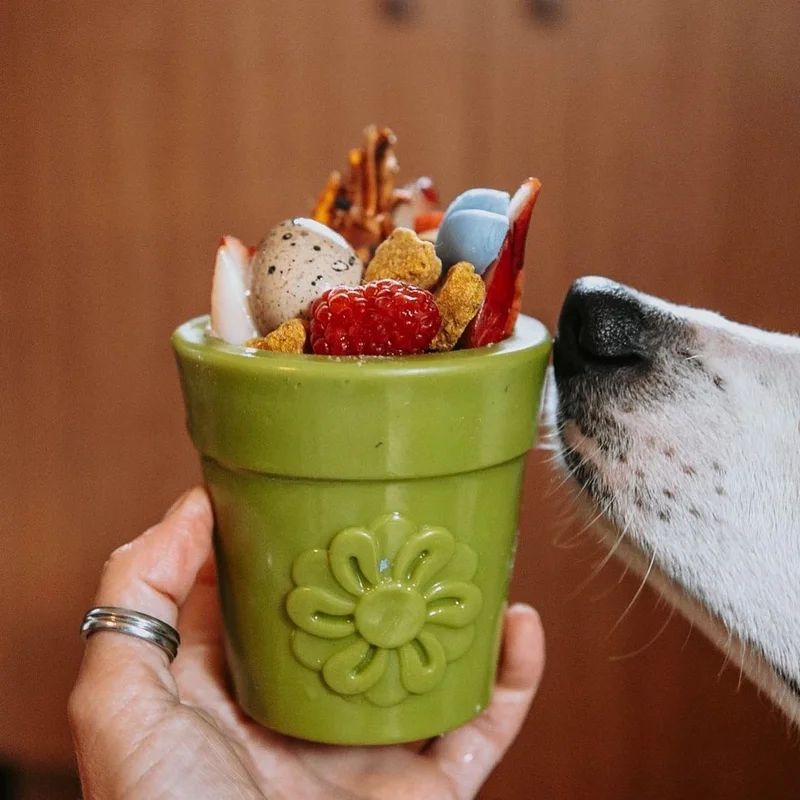 Jouet à fourrer Pot de fleur, miniature 4