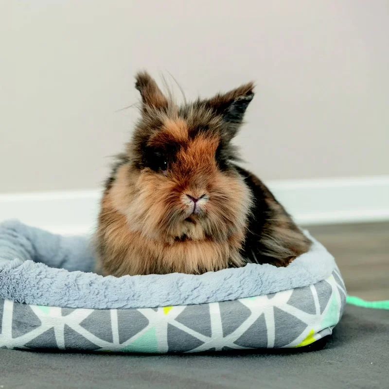 Lit douillet, miniature 2