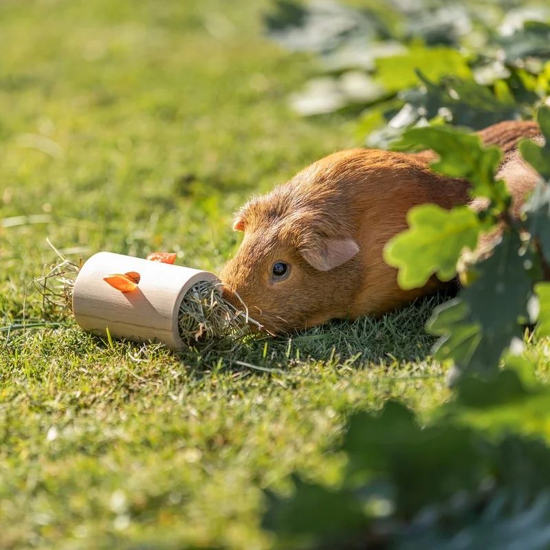 Snack Roll en bois, miniature 2