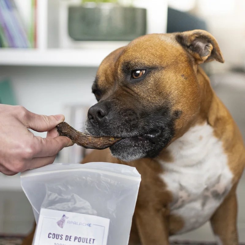 Cous de poulet, Mastication naturelle pour chien — Mastication pour chien, photo 3 sur 3