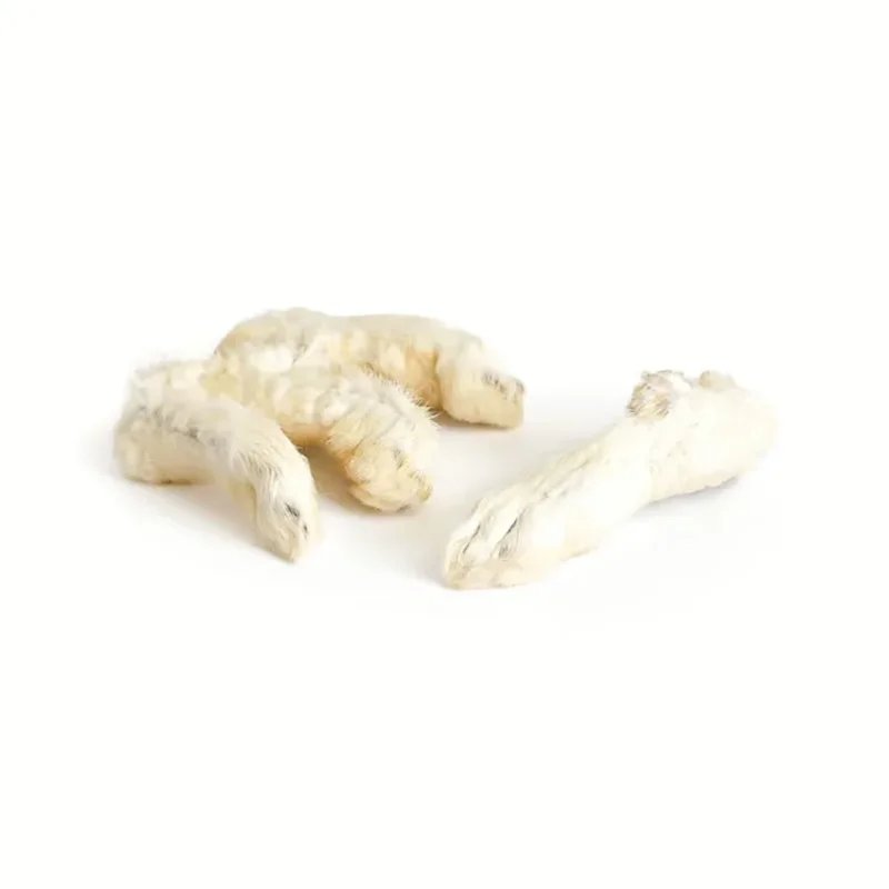 Pattes de lapin avec poils