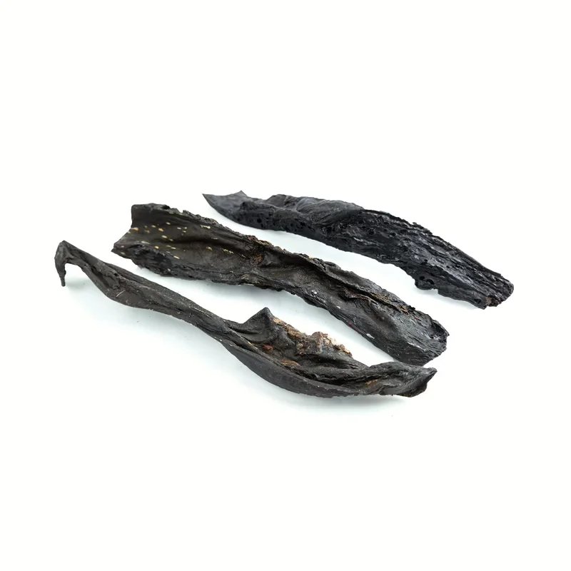 Rate de cerf — Mastication pour chien