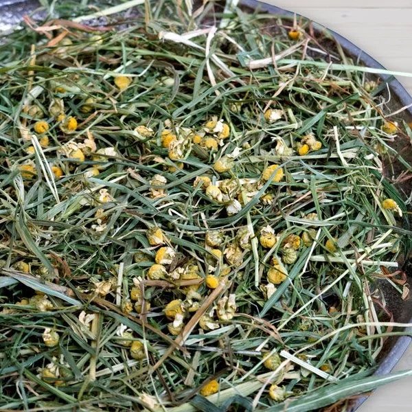 Foin FreshGrass Camomille 500G — vue 2