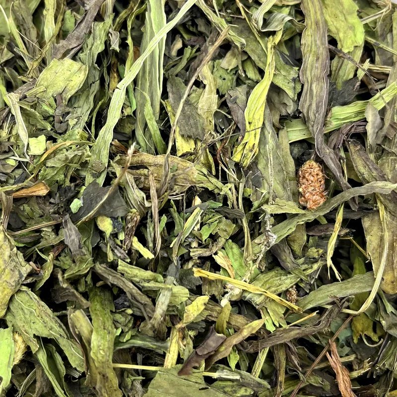 Feuilles de plantain — 100g — Friandises pour chinchilla