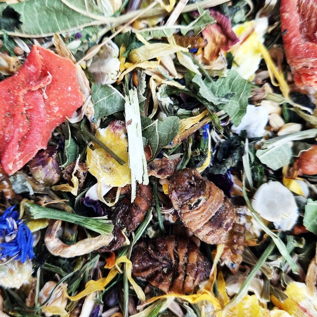 Mélange Gerbille Senior, Alimentation pour gerbille