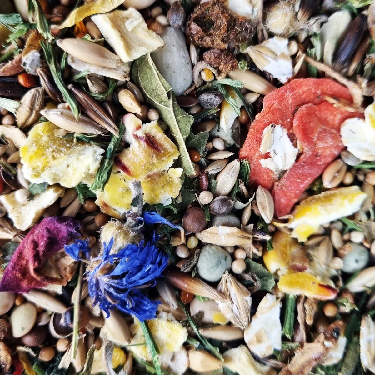 Mélange Hamster Syrien Senior — 800g — Alimentation pour hamster