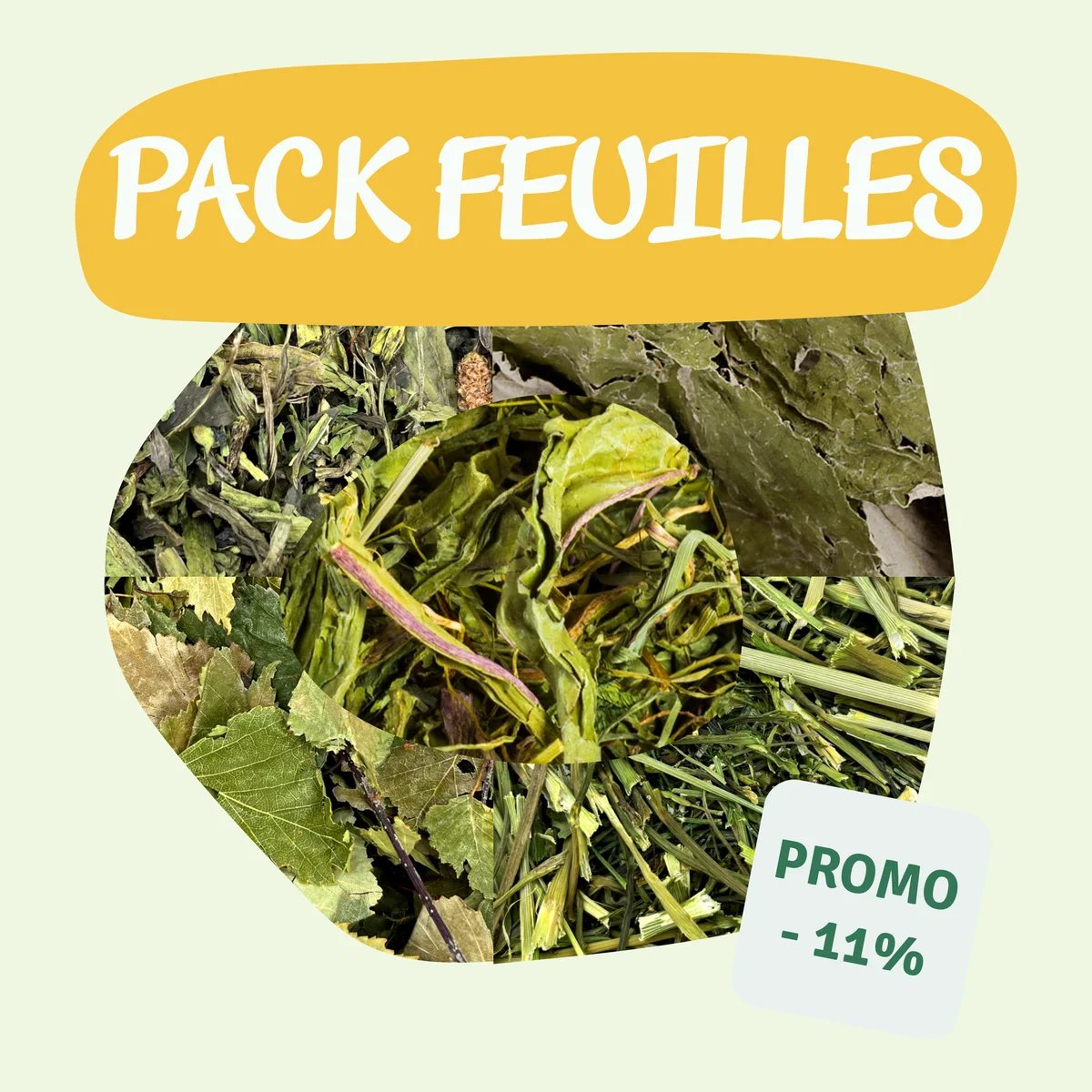 Pack Feuilles — Friandises pour octodon