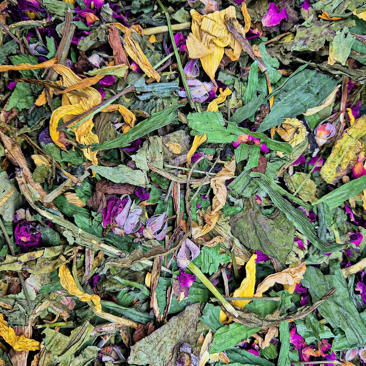 Surlitière "Golden Meadow" — Jouets pour gerbille