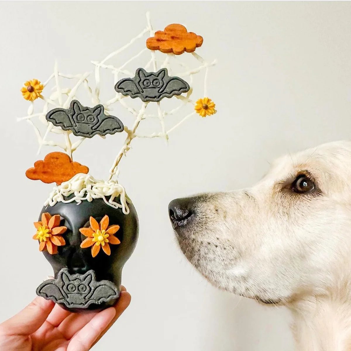 Jouet à fourrer Crâne Magnum — Enrichissement pour chien, photo 2 sur 2