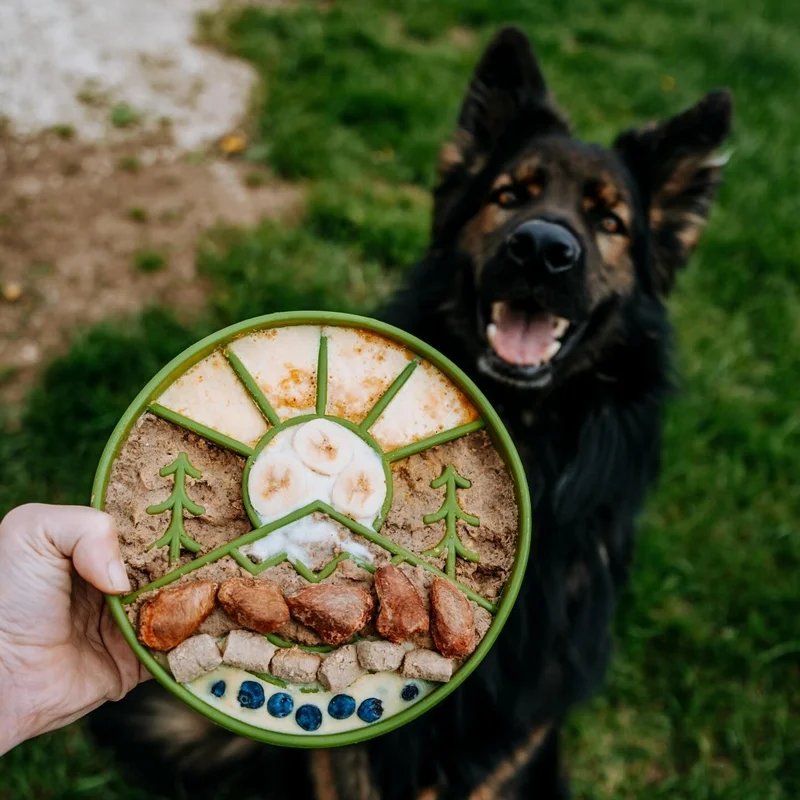 eBowl Printemps — Enrichissement pour chien, photo 3 sur 3