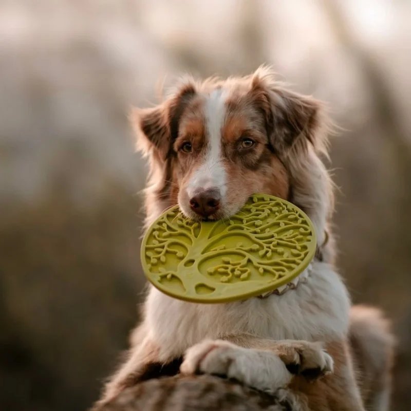 Tapis à lécher eMat Arbre — Enrichissement pour chien, photo 2 sur 2