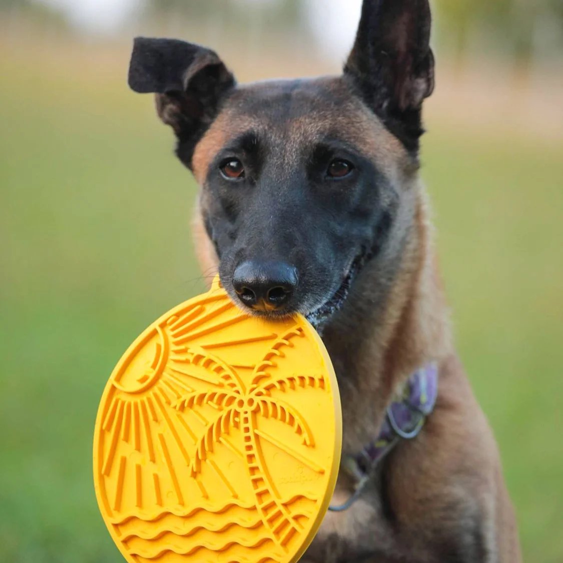 Tapis à lécher eMat Cocotier — Enrichissement pour chien, photo 2 sur 2