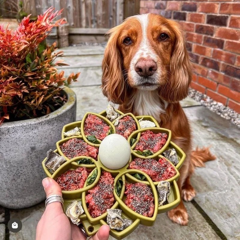 Tapis à lécher eTray Mandala — Enrichissement pour chien, photo 2 sur 2