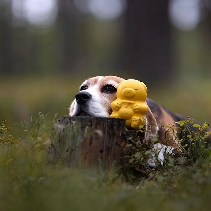 Jouet à fourrer Ourson — Jouets pour chien, photo 2 sur 3