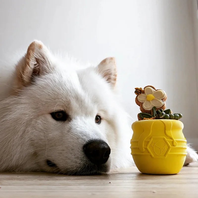 Pot de Miel — Jouets pour chien, photo 3 sur 5
