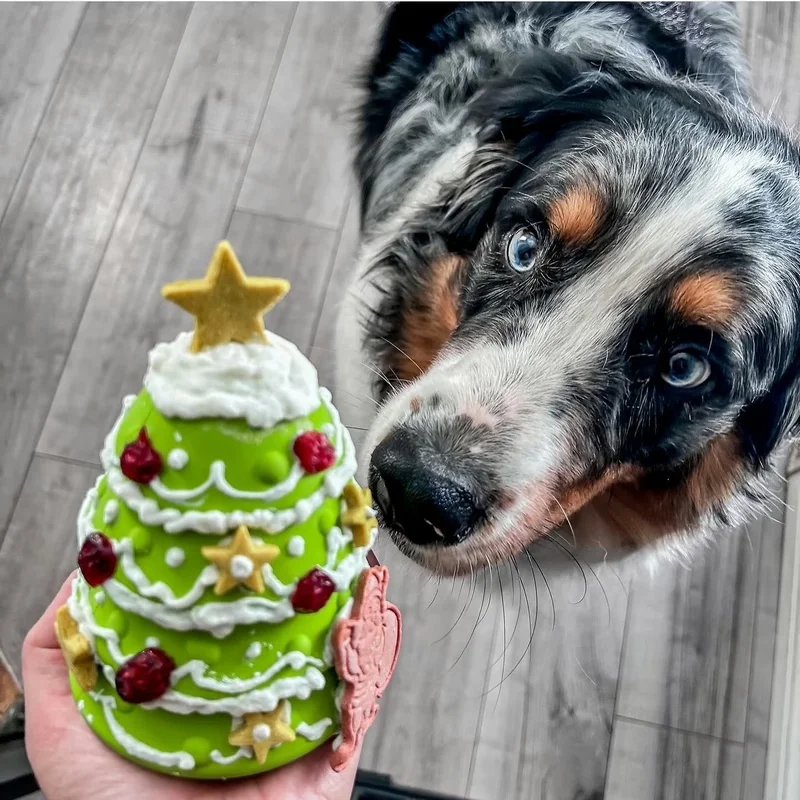 Jouet à fourrer Sapin de Noël — Jouets pour chien, photo 2 sur 2