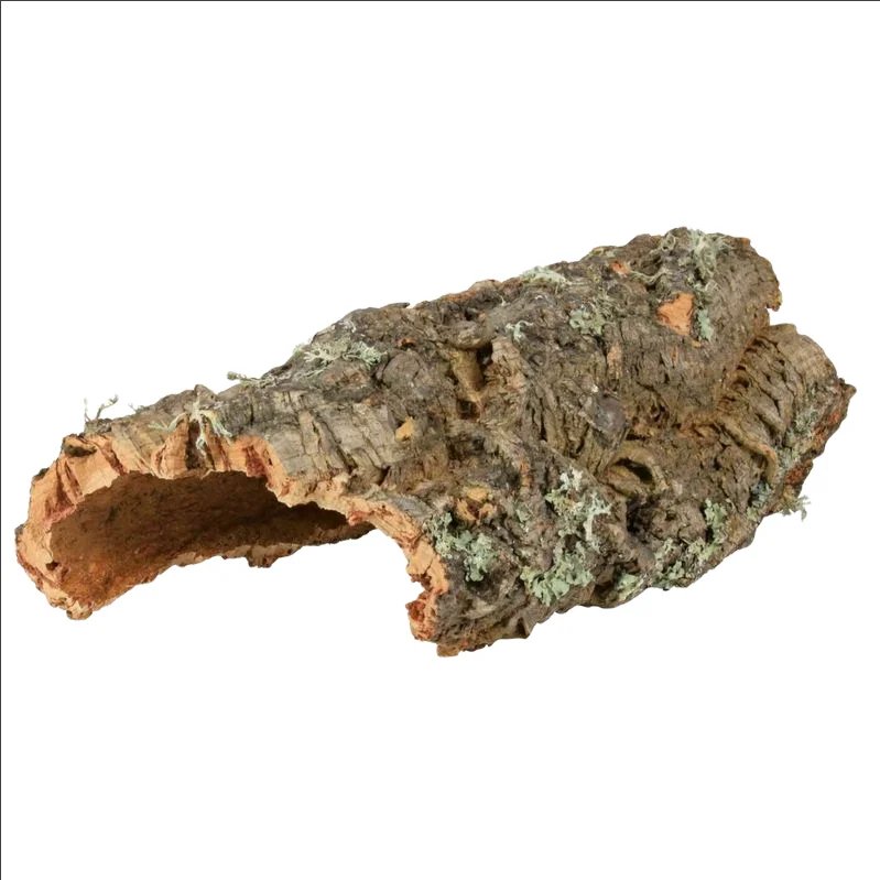 Écorce en liège — Accessoires pour octodon, photo 2 sur 2