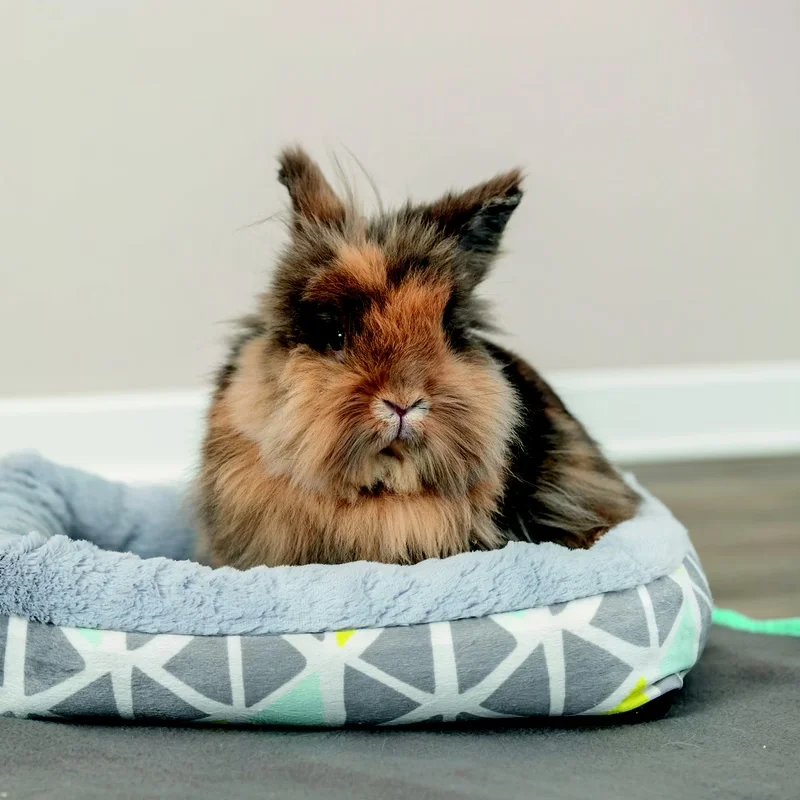 Lit douillet — Accessoires pour cochon-dinde, photo 2 sur 2