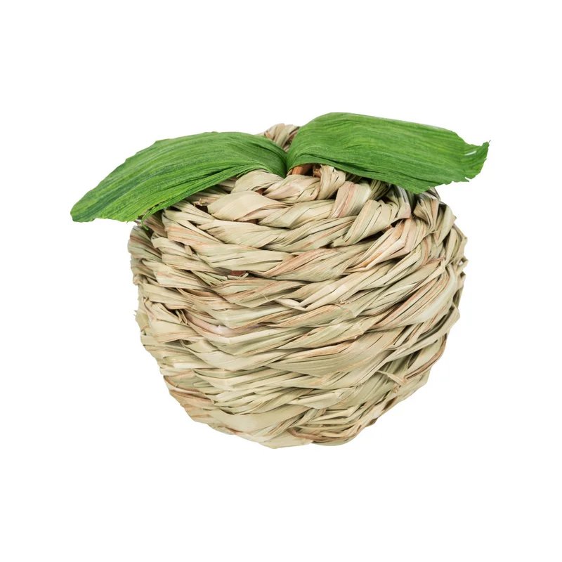 Pomme à grignoter — Jouets pour rat