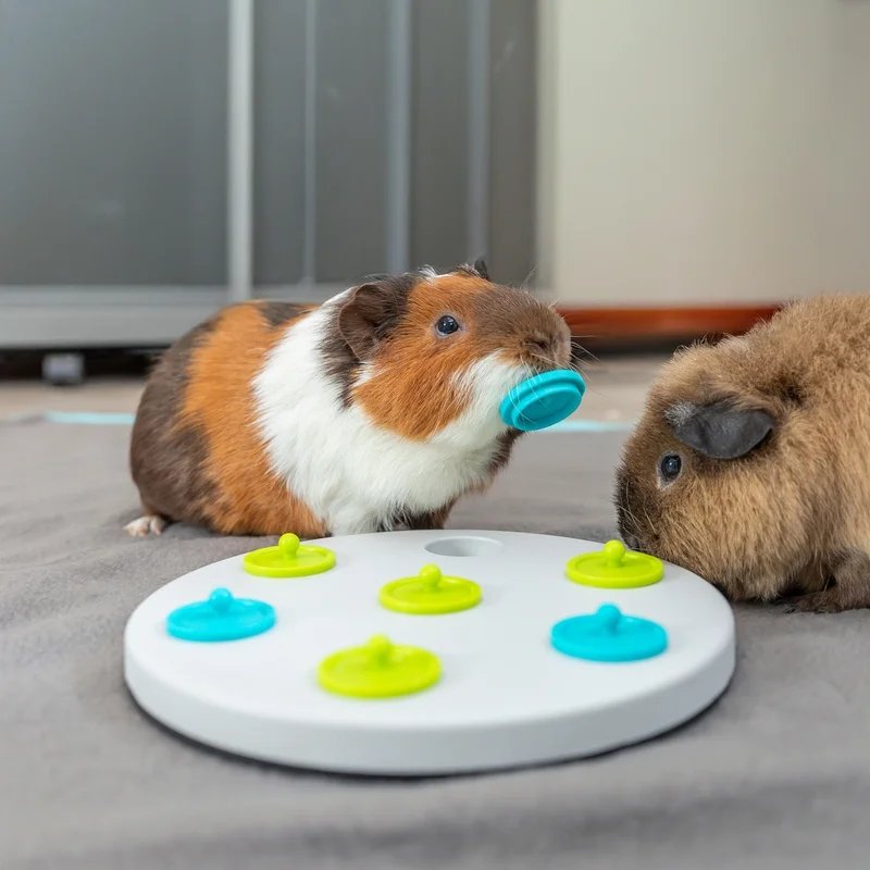 Snack Board — Jouets pour rat, photo 2 sur 2