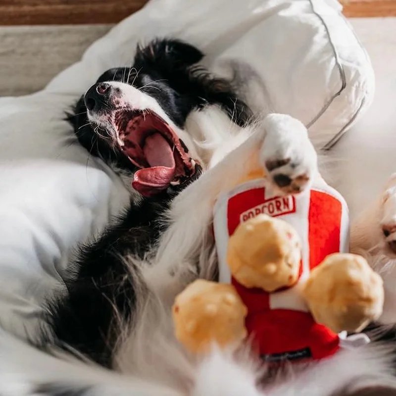 Peluche de fouille Burrow Popcorn — Enrichissement pour chien, photo 3 sur 3