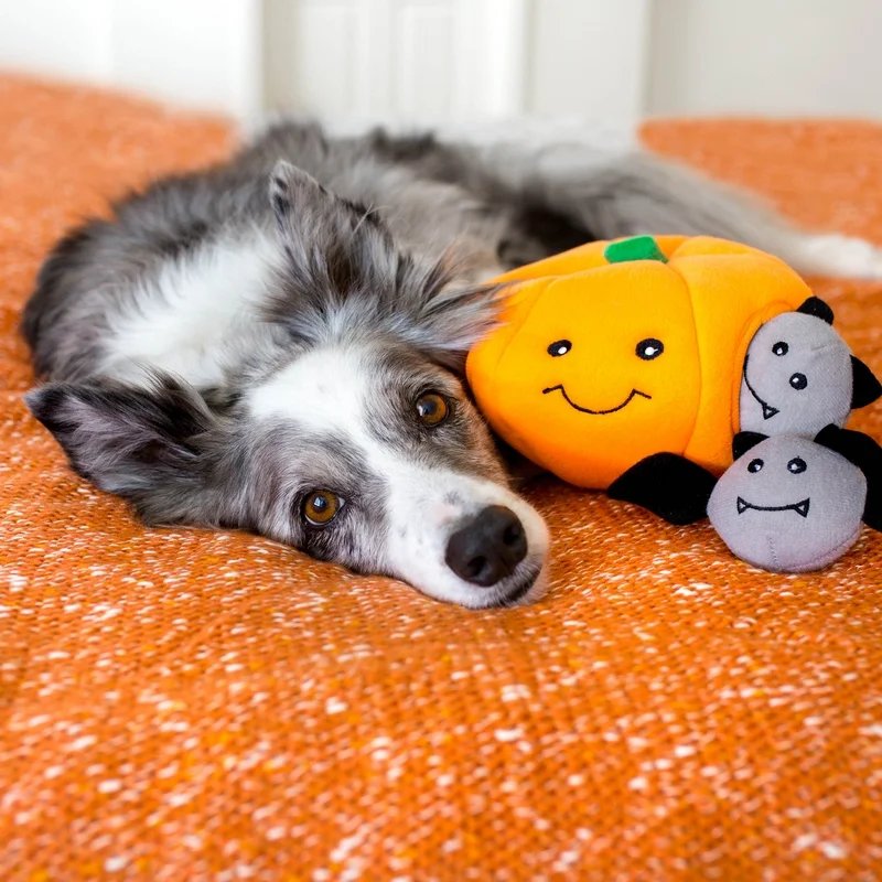 Peluche de fouille Burrow Trick or Treat — Enrichissement pour chien, photo 3 sur 5