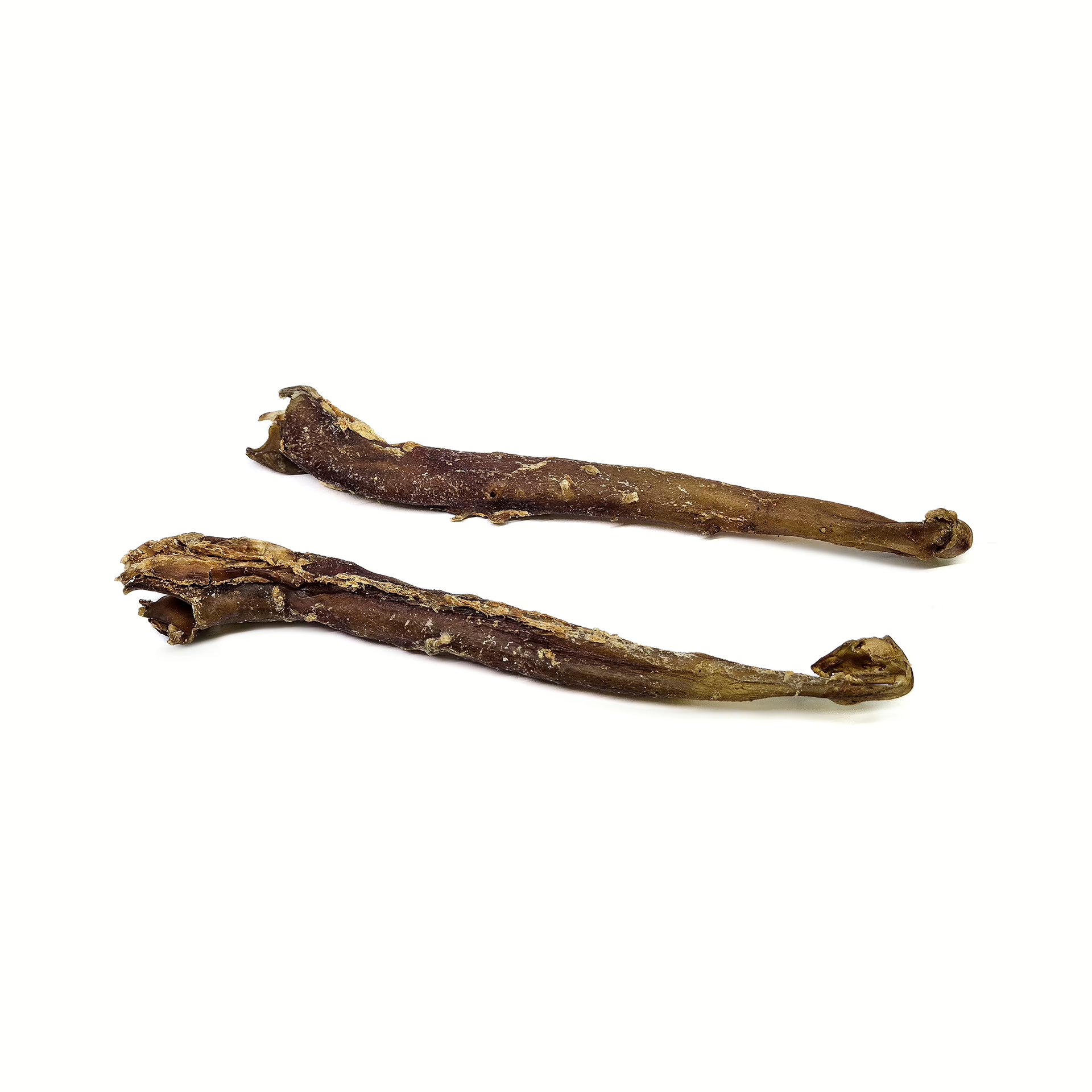 Aorte de buffle