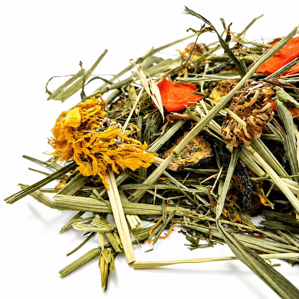 Mélange d'automne — Friandises pour gerbille