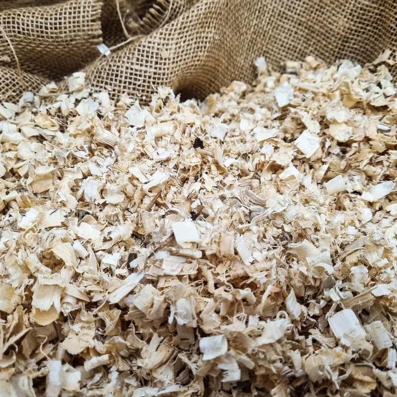 Copeaux de peuplier CP10 — Litières pour souris