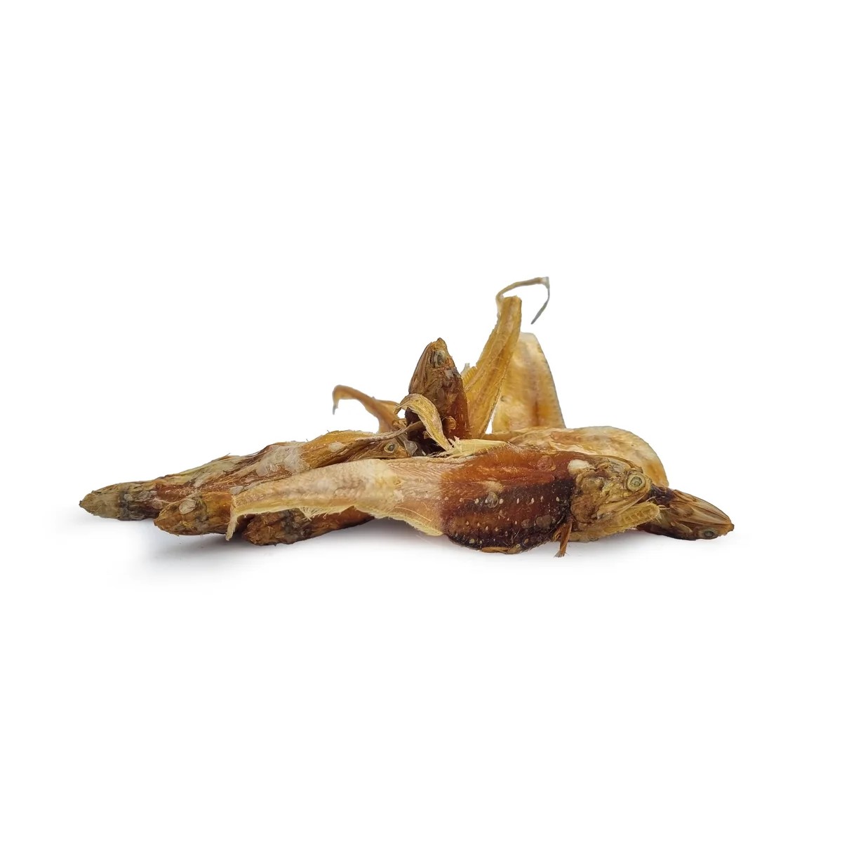 Anchois dorés — Mastication pour chien