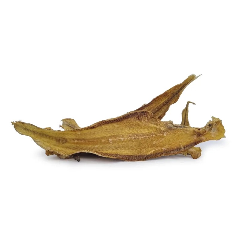 Filet de sole — Mastication pour chien