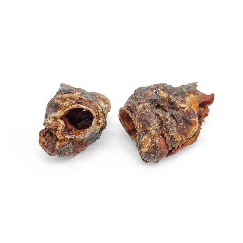 Larynx de bœuf — Mastication pour chien