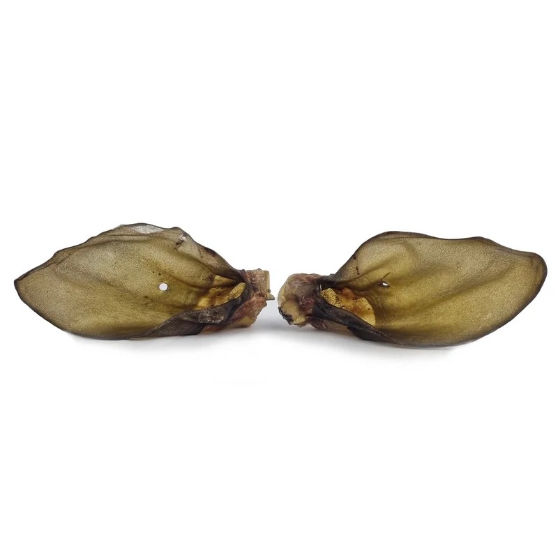 Oreilles de bœuf — Mastication pour chien