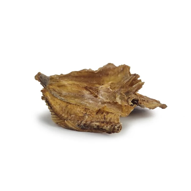 Peau de morue — Mastication pour chien