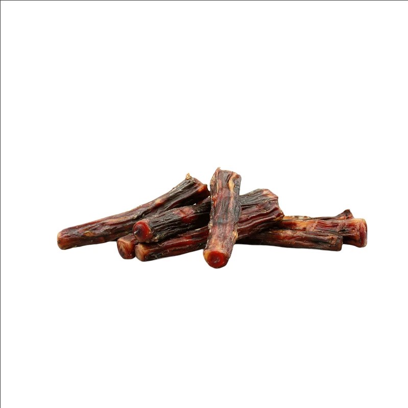 Queue de bœuf — Mastication pour chien