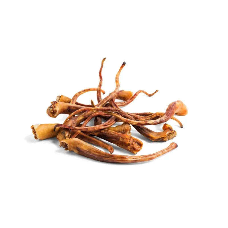 Queue de porc — Mastication pour chien