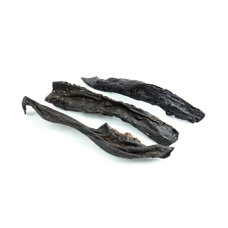 Rate de cerf — Mastication pour chien