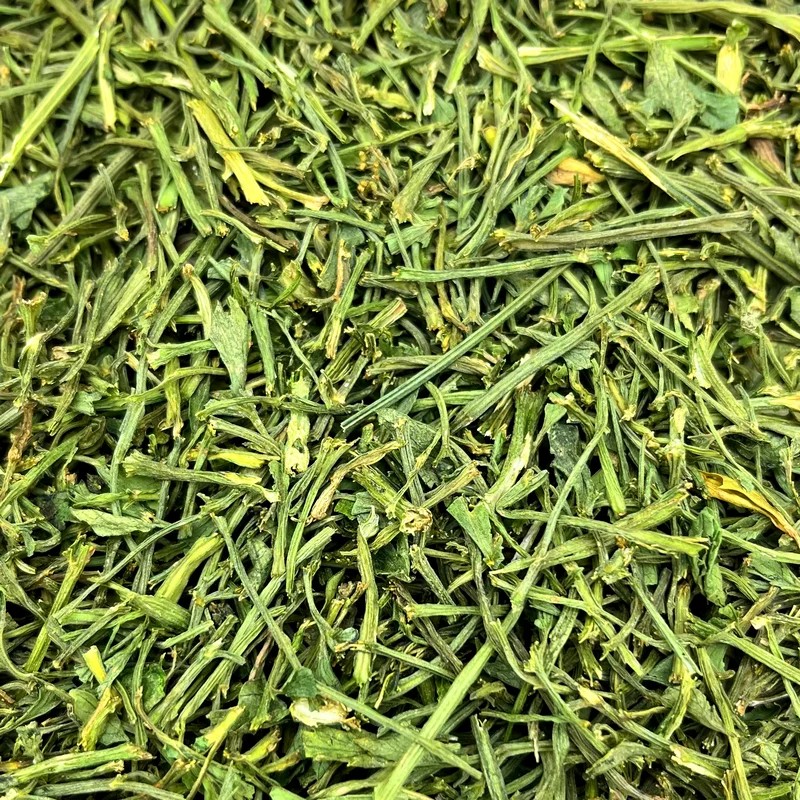 Céleri branche — Friandises pour octodon