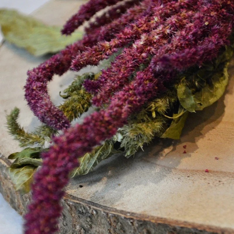 Épis d'amaranthe 100g, Friandise naturelle pour rongeur et lapin — Friandises pour gerbille, photo 1 sur 2