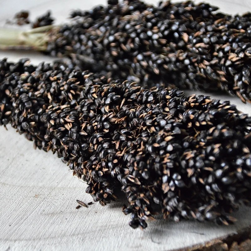 Épis de Sorgho noir 250g, Friandise naturelle pour rongeur et lapin — Friandises pour hamster, photo 1 sur 3