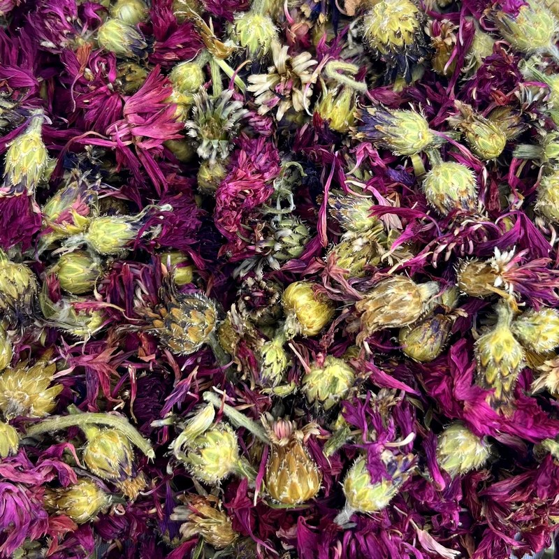 Fleurs de bleuets rouge — Friandises pour chinchilla