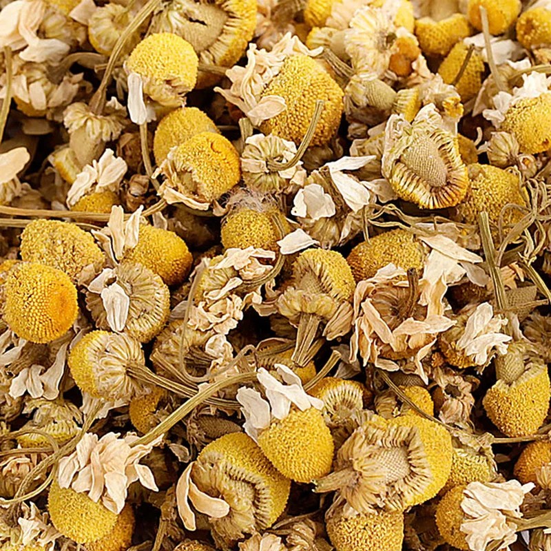 Fleurs de camomille — Friandises pour octodon