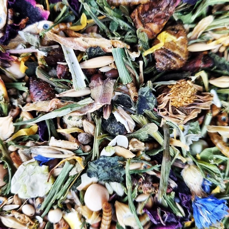 Mélange Hamster Nain Senior — Alimentation pour hamster