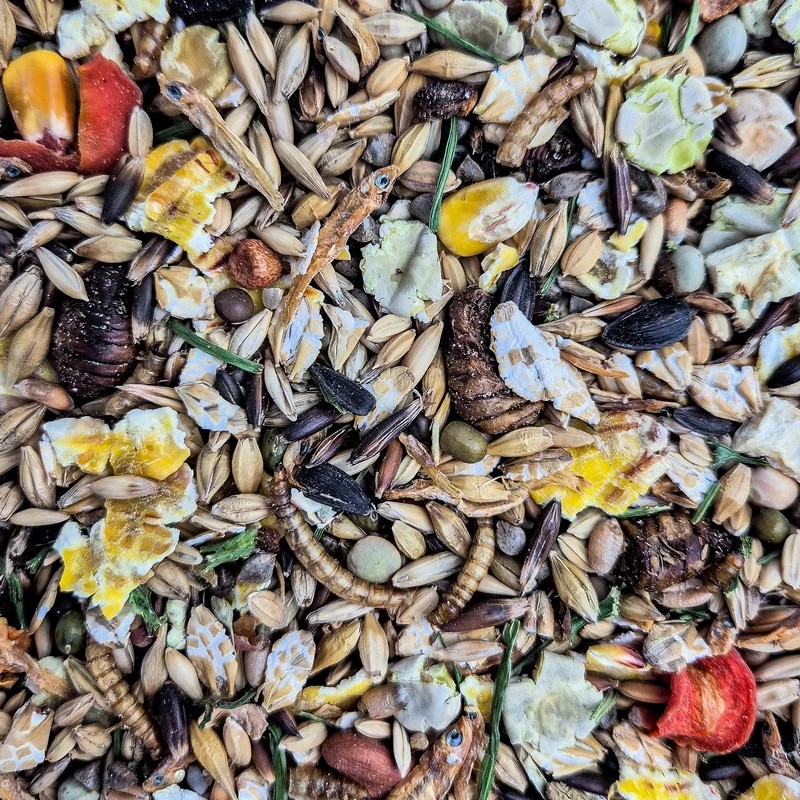 Mélange Rat Adulte — Alimentation pour rat