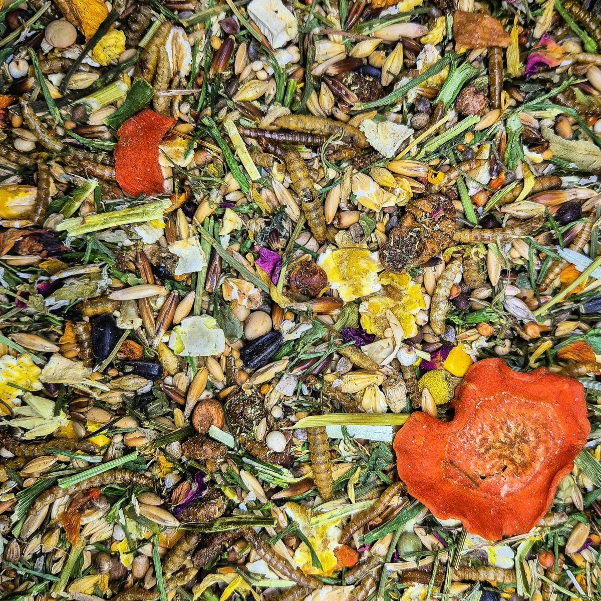 Mélange Souris Adulte — Alimentation pour souris